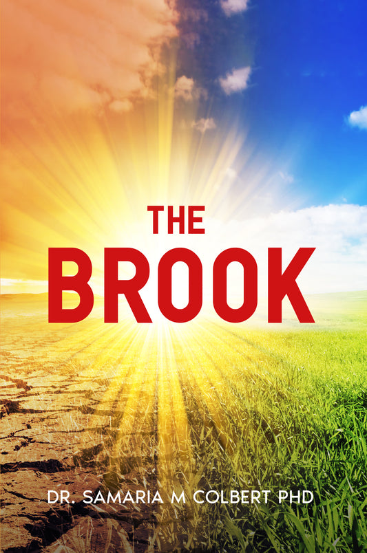 THE BROOK