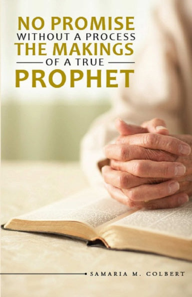 NO PROMISE WITHOUT A PROPHET THE MAKINGS OF A TRUE PROPHET